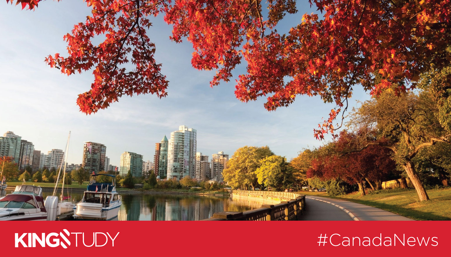 Yêu cầu mới của quy trình hồ sơ xin visa du học Canada đối với bậc cao đẳng, đại học